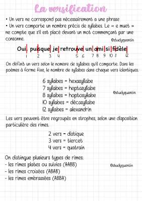 Découvre la Versification en Poésie : Cours et Exercices Amusants pour Toi!