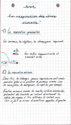 Les 4 types de respiration chez les animaux - Respiration des animaux 5ème