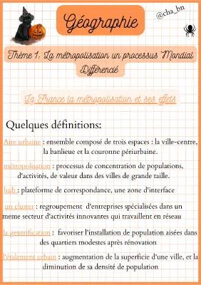 La Métropolisation et ses Effets en France - Croquis et Corrigé Paris Ville Mondiale