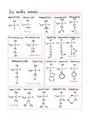 Amino Acids for Kids: Cool Charts & Simple Lists