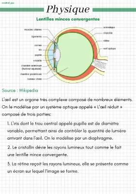 Apprends les Lentilles: Convergentes et Divergentes pour les Curieux de 10 Ans