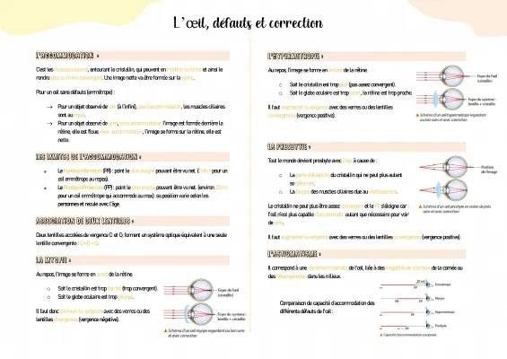 L’œil, défauts et correction 