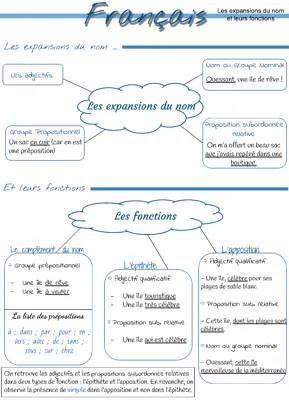 Les Expansions du Nom : Exemples et Exercices Corrigés pour la 5ème et 4ème