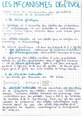 SVT Seconde - Les Mécanismes de l'Évolution : Exercice, Contrôle et PDF