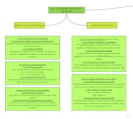 L'évolution des forêts en France depuis le Moyen Âge et la révolution néolithique