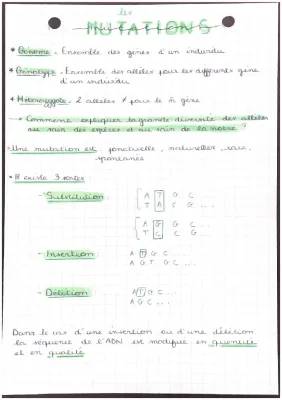 Mutation Génétique Cours PDF et Variabilité ADN 1ère S – Révision et Exemples