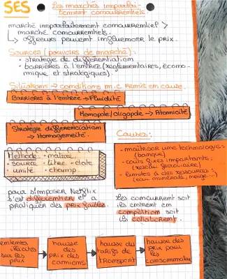 Comprendre les marchés imparfaitement concurrentiels et les monopoles - Exercices et exemples PDF