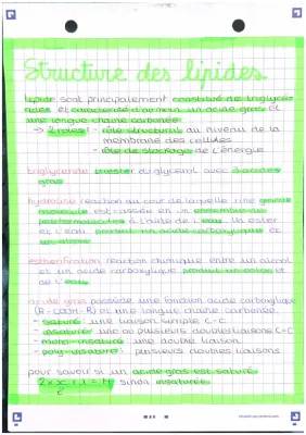 Les Lipides Amusants: Structure, Types et Saponification