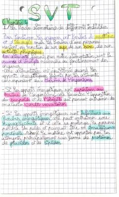 Besoins alimentaires et alimentation équilibrée selon l'âge - PDF et tableaux