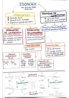 Les Isomères: Isomérie de Position, Chaîne et Stéréoisomérie