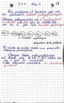 Synthèse des Protéines pour les Enfants: PDF, Étapes, et Schémas