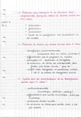 Évolution de la structure socioprofessionnelle en France et les inégalités au travail