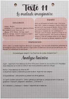 Fun Analysis of Le Malade Imaginaire by Molière