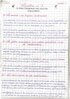 Comment fonctionnent les muscles ? Comprendre la contraction et la thérapie génique