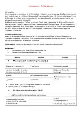 Résumé de L'Esprit des Lois et Analyse de L'Esclavage des Nègres