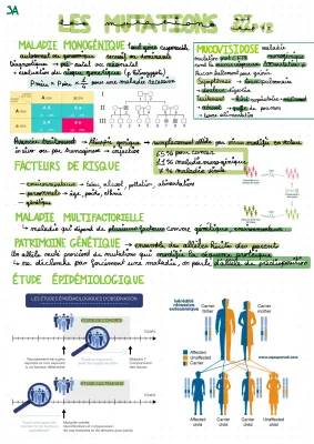 Découvrir les Mystères des Mutations et Thérapies Génétiques