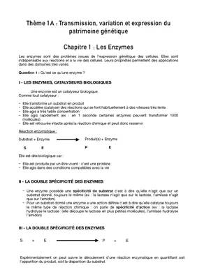 Les Enzymes Cours 1ère SVT PDF - Vitesse, Propriétés et Spécificités