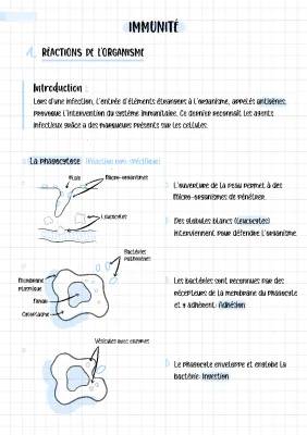 Découvre la Phagocytose et les Vaccins : Les Étapes et les Héros