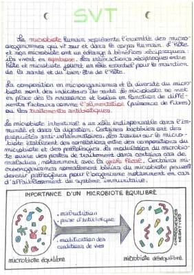 Découvre le Microbiote Intestinal et les Agents Pathogènes en SVT