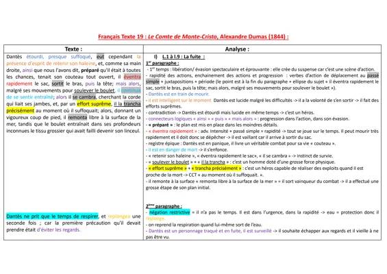 Le Comte de Monte-Cristo : Analyse Linéaire et Questions