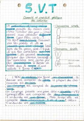 Évaluation SVT 3ème : Diversité et Stabilité Génétique des Individus