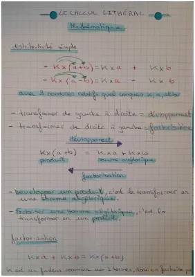 Apprends à Développer et Factoriser avec la Distributivité Simple