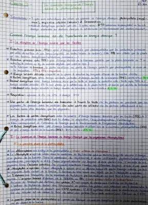 La Photosynthèse Facile : Schémas, Équations et Explications Simples