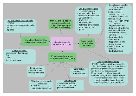 Carte mentale SES Terminale: Structure socioprofessionnelle, Commerce international et Classes Sociales Marx Weber