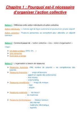 Cours Management 1ère STMG - Chapitre 1: Pourquoi l'action collective est importante