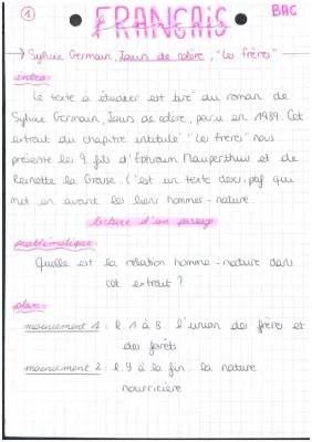 Comprendre la relation homme-nature dans 'Jours de colère' - Analyse linéaire de Sylvie Germain