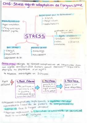 Tout sur le Schéma Stress Aigu et Chronique en SVT Terminale