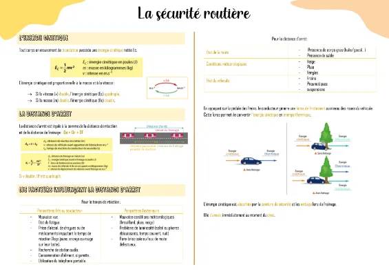 La sécurité routière pour les jeunes: exercices et formules faciles !