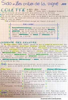 Découvre Sido de Colette : Analyse Linéaire et Résumé par Chapitre