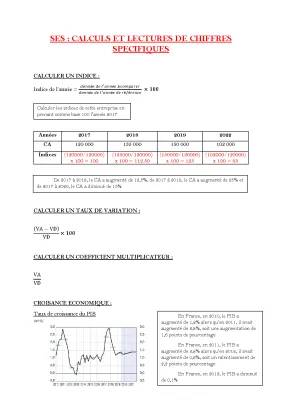 Calcul SES Terminale : Indices, PIB et Salaires en France