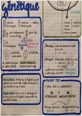 Cours SVT Terminale : Génétique et Brassage Intrachromosomique PDF