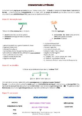Commentaire Littéraire : Analyse de Texte Facile et Problématique