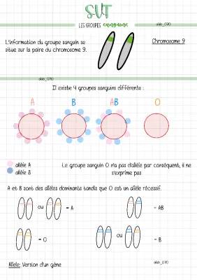 Les Secrets du Chromosome 9 et des Groupes Sanguins pour les Enfants