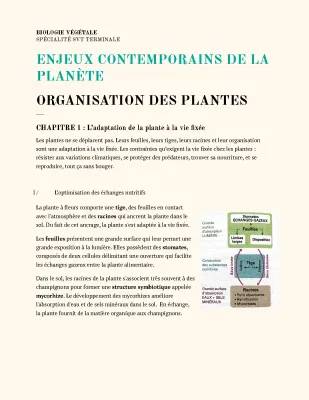 Vie Fixée et Nutrition des Plantes - Schémas et Explications SVT