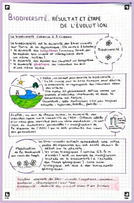 Comprendre la Biodiversité: Définitions, Exemples et Crises Biologiques