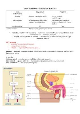 Schéma des étapes du cycle ovarien et menstruel: Les 4 phases et les jours dangereux