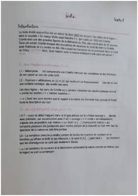 BAC DE FRANÇAIS - texte de Colette les vrilles de la vigne "à la première haleine [...]" à "[...] un manteau neutre ..."