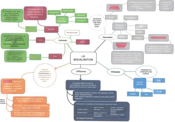 SES : La socialisation 