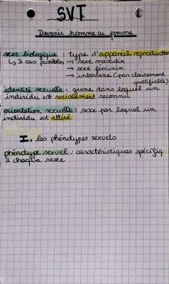 Découvre les Gonades et la Différenciation Sexuelle: Devenir un Garçon ou une Fille