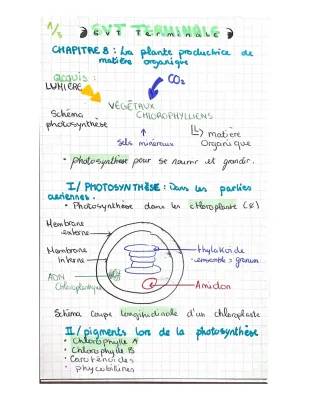 Schéma du Cycle de Calvin Terminale - La Plante Productrice de Matière Organique