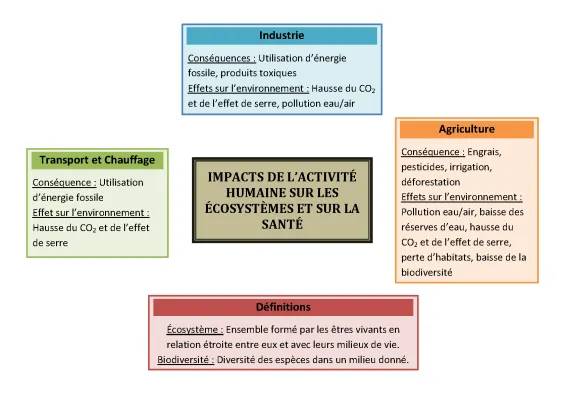 Impact des Activités Humaines sur l'Écosystème et la Biodiversité - SVT 5ème PDF