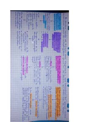 La Structure Sociale SES Terminale : Super Fiche de Révision