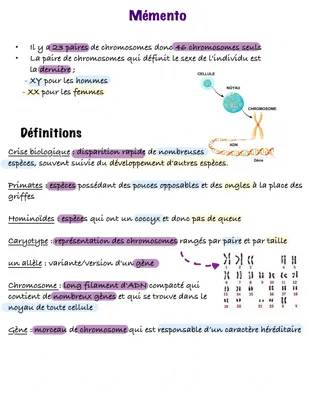 mémento brevet blanc 