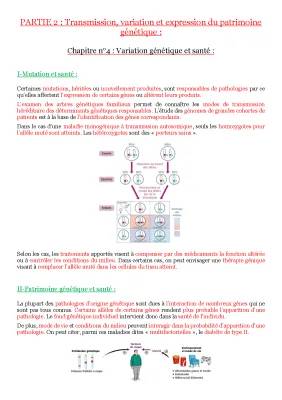 Découvre les Mystères de la Génétique : Variations, Mutations et Santé!