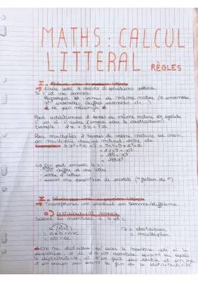 Réduire et Développer une Expression Littérale : Exercices Corrigés pour Collégiens