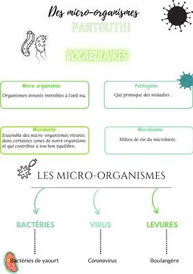 Découvre les Micro-organismes : Bactéries, Virus et Microbiote Intestinal